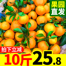 橙子新鲜水果包邮当季脐橙甜橙手剥橙果冻橙10斤装整箱麻阳冰糖橙