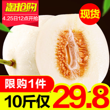 应季时令蜜瓜香瓜哈密瓜 新鲜当季整箱10斤 包邮 阎良甜瓜水果批发