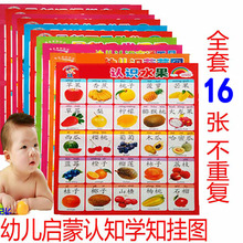宝宝识字挂图 婴幼儿童早教看图拼音挂贴画 认知启蒙无声单面包邮