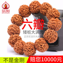 弥刻正宗尼泊尔大金刚6六瓣矮桩红黄皮菩提子手串大满肉红皮手链