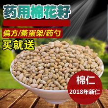 棉花子 包邮 棉籽仁棉仁棉花种子棉籽 药用棉花籽