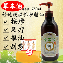 美容院全身按摩通经活络热感推拿油药草本油背部开穴刮痧复方精油