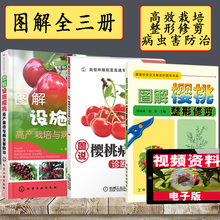 整形果树修剪书籍农业技术书籍种植书籍大全果树种植栽培技术书 樱桃病虫害诊断与防治技术 樱桃种植技术书樱桃高产栽培 赠视频