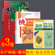 图说桃典型病虫害防治 桃树修剪书籍果树种植栽培技术书桃树管理技术书桃树修剪书籍似猕猴桃种植书籍大全高效栽培桃 桃树栽培技术