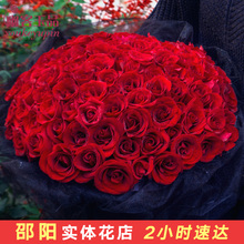 99朵红玫瑰邵阳鲜花速递同城双清大祥邵东洞口花束生日全国送花店
