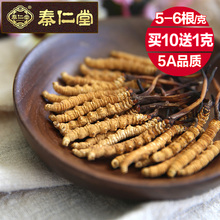6根 克野生那曲冬虫草礼盒西藏虫草正品 玉树冬虫夏草5 买10送1