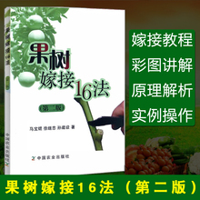 嫁接愈合及成活原理 果树种植户阅读参考书籍 嫁接后管理书籍 果树嫁接16法 室内嫁接时间及注意事项 全新正版 中国农业出版社