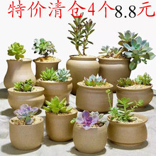多肉植物素陶瓷花盆大小号口径粗陶花盆透气紫砂复古素烧多肉花盆