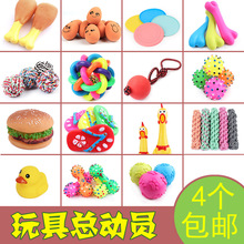 狗狗玩具耐咬磨牙发声玩具泰迪比熊金毛玩具球幼犬惨叫鸡宠物用品
