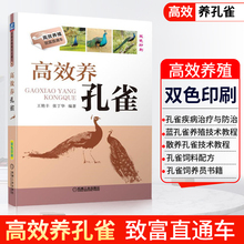 孔雀饲养员书籍 散养孔雀技术教程孔雀疾病治疗与防治技术大全 高效养孔雀 孔雀饲料配方 蓝孔雀养殖技术教程大全书籍 正版现货