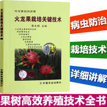 水果养殖教程书 火龙果种植教材书籍 火龙果种植关键培育技术 火龙果栽培关键技术 水果栽培技术大全 果树高效养殖技术全书 正版