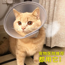 伊丽莎白圈猫咪项圈脖猫伊利沙白宠物狗狗头套防咬防舔耻辱圈用品