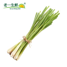 新鲜柠檬草 新鲜香茅500g香茅草 老一生鲜