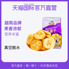 越南进口 100g 直营 沙巴哇芭蕉干 果干水果干休闲零食