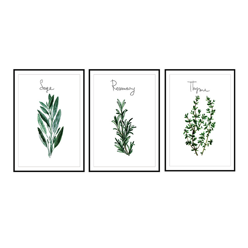 �ü��ٱ�ŷ����װ�λ�