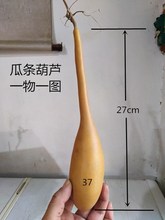 精品天然异形勒扎瓜条蛇葫芦文玩把玩收藏烙画雕刻原料一物一图
