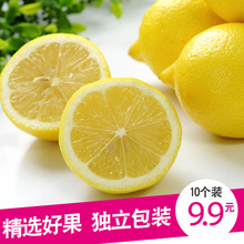 新鲜安岳柠檬10个装当季水果应季批发包邮一级果皮薄青香型鲜柠檬