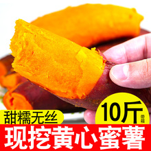 红薯 新鲜蜜薯10斤带箱农家香甜薯板栗地瓜糖心小番薯山芋紫箱包装