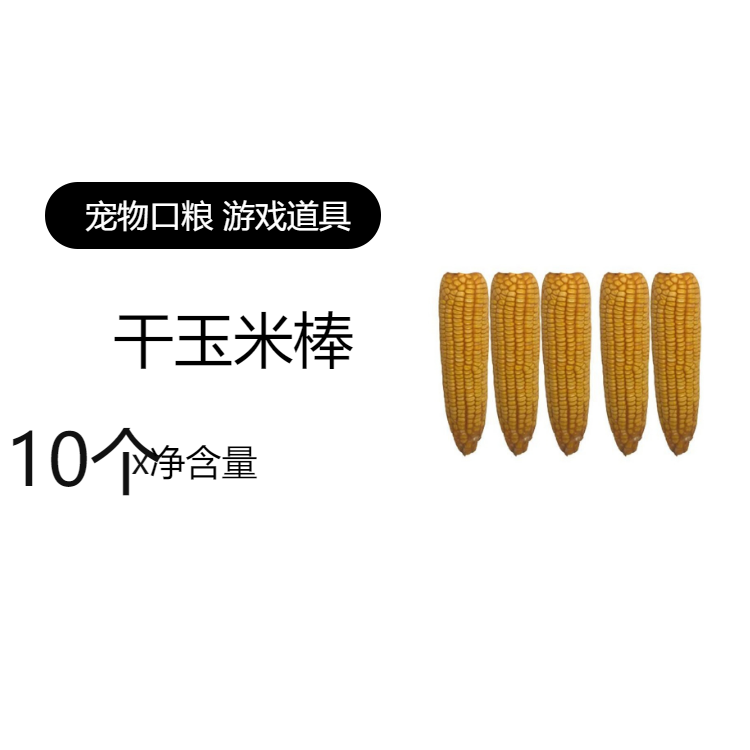带皮晒干玉米棒老玉米农作物装饰农家乐风宠物口粮晒秋收手工教具