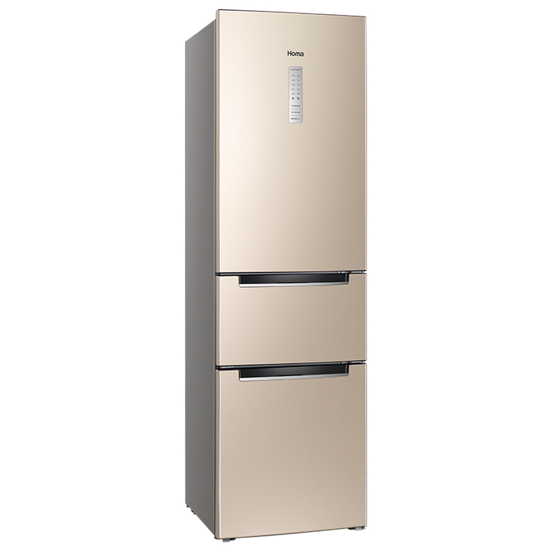 ���������ű���BCD-219WDT/B