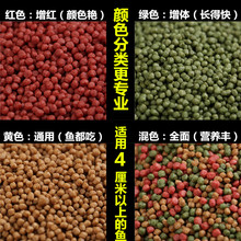 小金鱼饲料小型鱼料冷水鱼观赏鱼粮红鲤鱼食物锦鲤小颗粒型不浑水