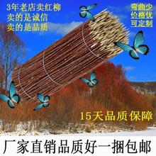 红柳签子正宗烧烤签红柳木枝烤肉签子新疆特色红柳签红柳木烤肉签