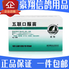 豪翔五联口服苗信鸽赛鸽新城疫腺病毒沙门氏衣原体流感用品鸽子药