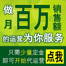 淘宝代运营网店托管推广铺人工整C店优化装修电商天猫w