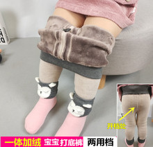 可开档 袜加绒加厚婴儿纯棉加绒打底保暖裤 3岁女童宝宝冬季连裤