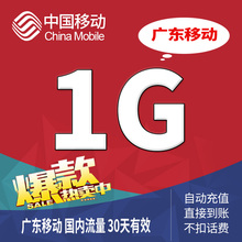 广东移动流量充值深圳东莞1G国内手机流量叠加油包省内通用A