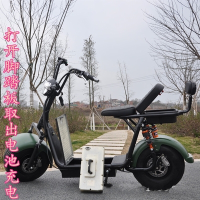 拆卸电池抽取电动摩托车锂电池电瓶车城市哈雷成人踏板代步自行车