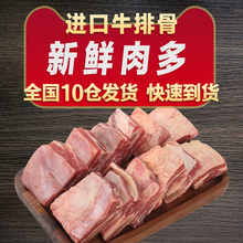 新鲜进口草饲牛排骨500g 原切牛排牛肋排牛仔骨高钙底脂煲汤佳品