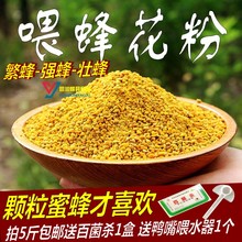 养蜂用花粉 5斤 包邮 蜜蜂饲料 蜂粮 油菜花粉杂粉 喂蜂花粉颗粒