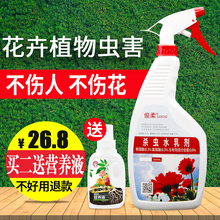 植物杀虫剂花卉杀虫剂家用蚜虫蚧壳虫红蜘蛛多肉花药除虫剂护花神
