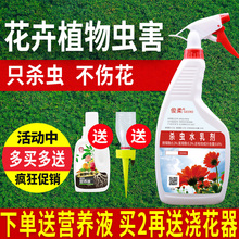 杀虫剂花卉植物家用花草红蜘蛛蚧壳虫蚜虫小飞虫多肉通用花虫药剂