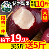 【买1送1】甘肃天水花牛苹果当季水果新鲜包邮蛇果平果大带箱10斤