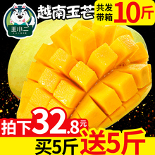 芒果越南进口玉芒应季新鲜水果 带箱10斤当季青芒 包邮 买一送一