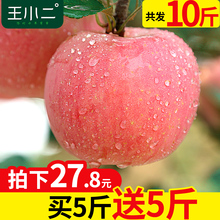 萍果平果 当季应季批发丑苹果整箱吃 包邮 红富士苹果水果10斤新鲜