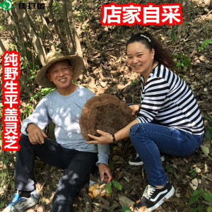 野生平盖灵芝品牌店铺