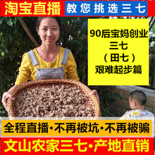 文山特级野生20头30头40头田七500g可磨超细三七粉 云南三七头正品