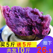 年货农家紫薯10斤新鲜现挖地瓜小番薯红薯紫芋头非越南山东板栗