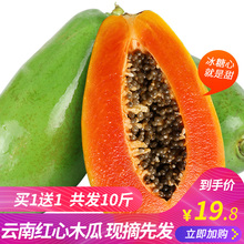 新鲜现摘红心木瓜冰糖心牛奶木瓜5斤应季水果新鲜水果批发包邮10