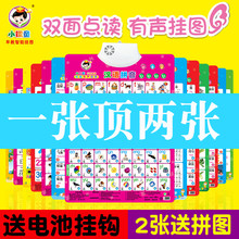 有声挂图宝宝启蒙早教墙贴儿童认知语音看图识字拼音发声卡片玩具