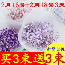 满天星干花ins小花束网红真花批发风干论斤卖情人节家居摆设天然