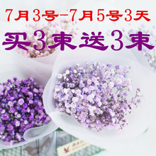 包邮 干花批发满天星干花花束永生花家居摆设插花小清新薰衣草鲜花
