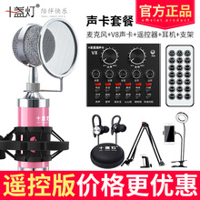 V8直播手机电脑台式机通用全民k歌神器快手苹安卓主播声卡套装 十盏灯 喊麦变声器设备全套唱歌专用麦克风话筒