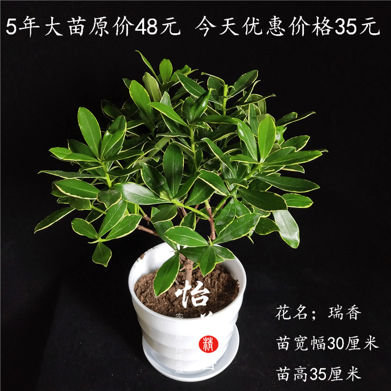 昌黎县花呗分期付款哪种好【加▲威信Q同号:4