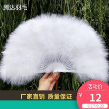 全绒加厚标准扇子旗袍走秀舞台表演舞蹈扇50 精品羽毛扇子 包邮