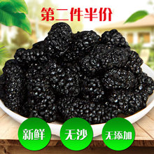 川桑果果大凉山黑桑葚干免洗桑椹子野生无沙果500g食泡酒2019新鲜