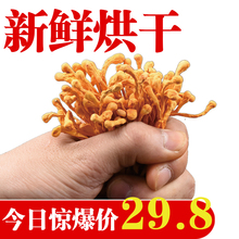 特级 金虫草花正品 基地直发 孢子头干货煲汤滋补新鲜北蛹虫草花